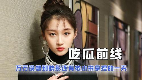 娱乐圈在线吃瓜小说推荐,瓜田里的甜蜜陷阱